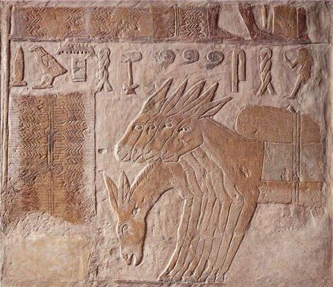 Elevage d'ânes. Relief de la tombe de metjetji à saqqarah (5e din.) Royal Ontario Museum de Toronto.