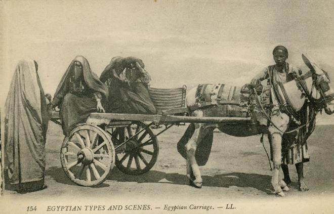 Attelage egyptien ed lehnert et landrock datee1914