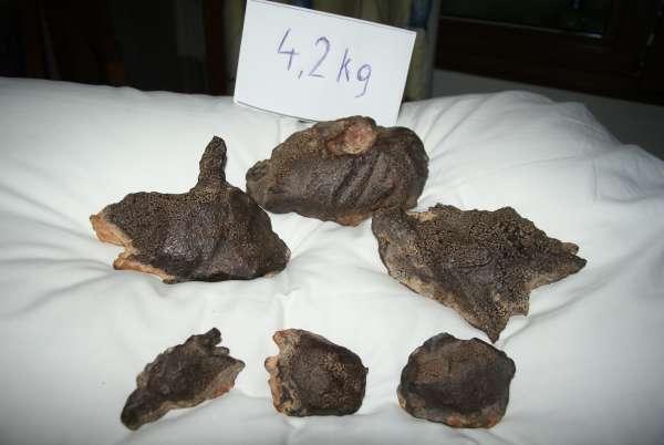 Gebel kamil meteorite