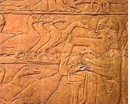 Mastaba de merouka gavage des oies