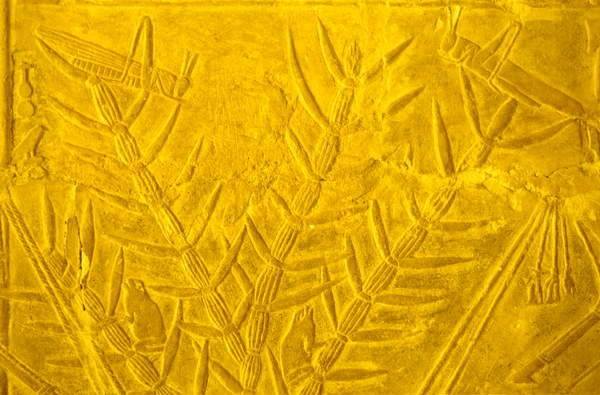Locusts and frogs in plants, detail of a wall carving from the Mastaba of Merereuka. 