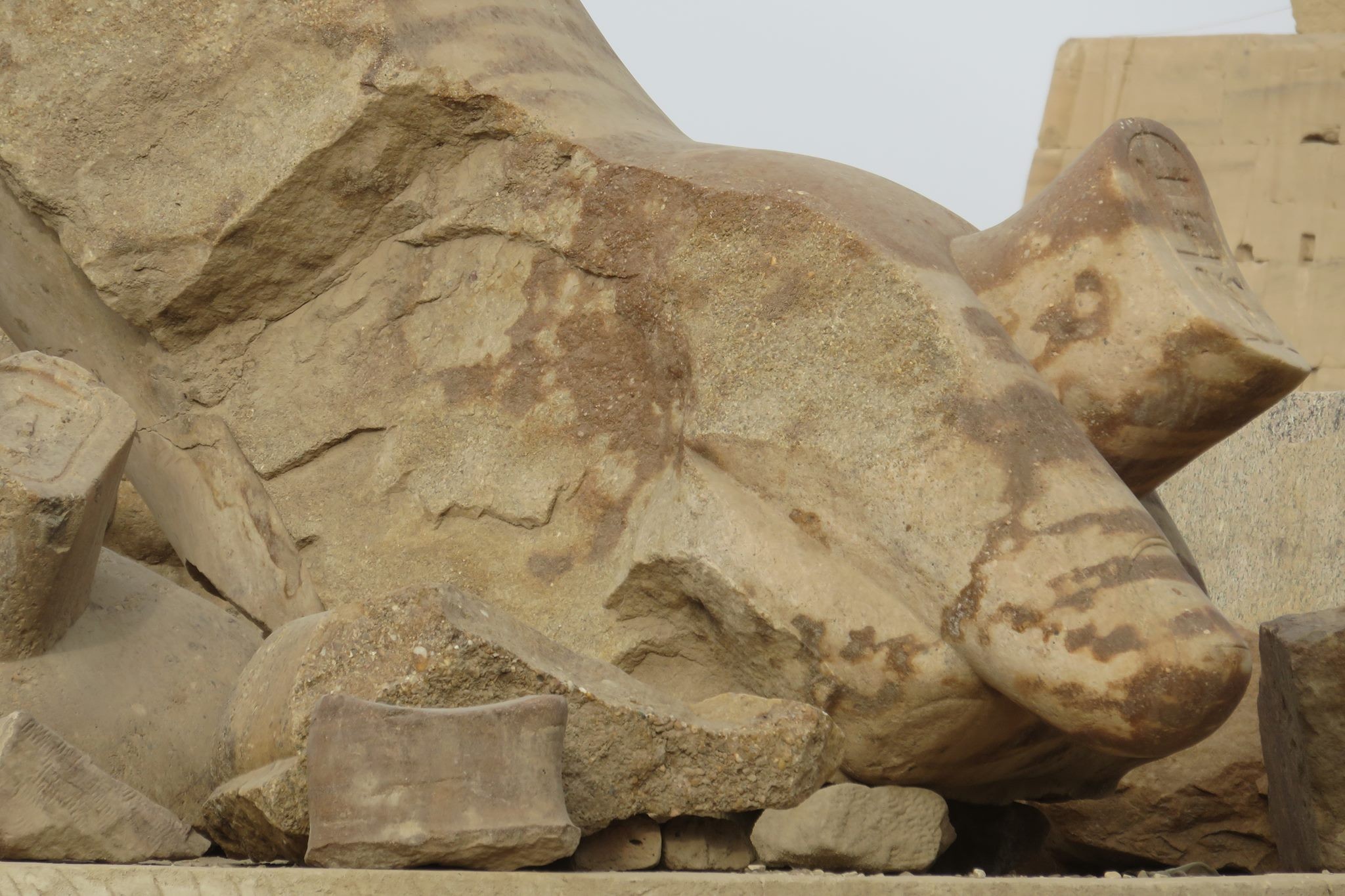 A Karnak Aménophis III vous serre la main ! 