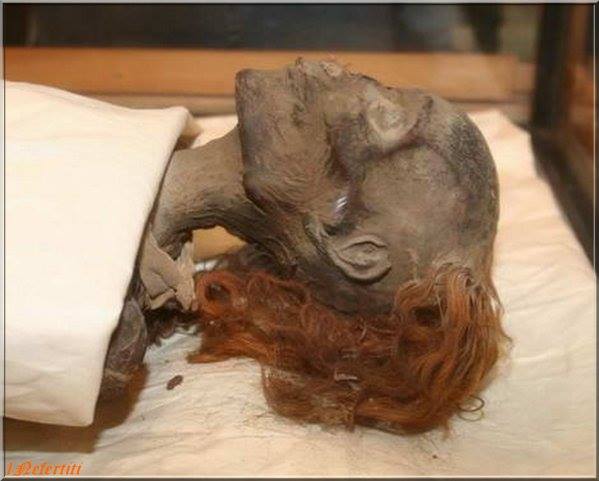 Queen Pharaoh Hatshepsut mummy.