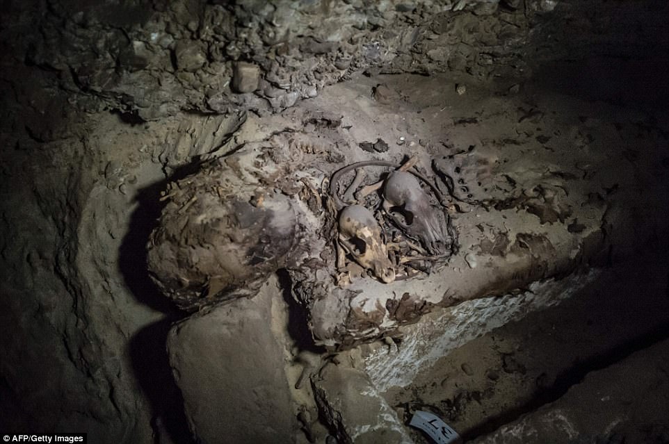 A mummy pictured with what appear to be animal remains inside the catacombs.