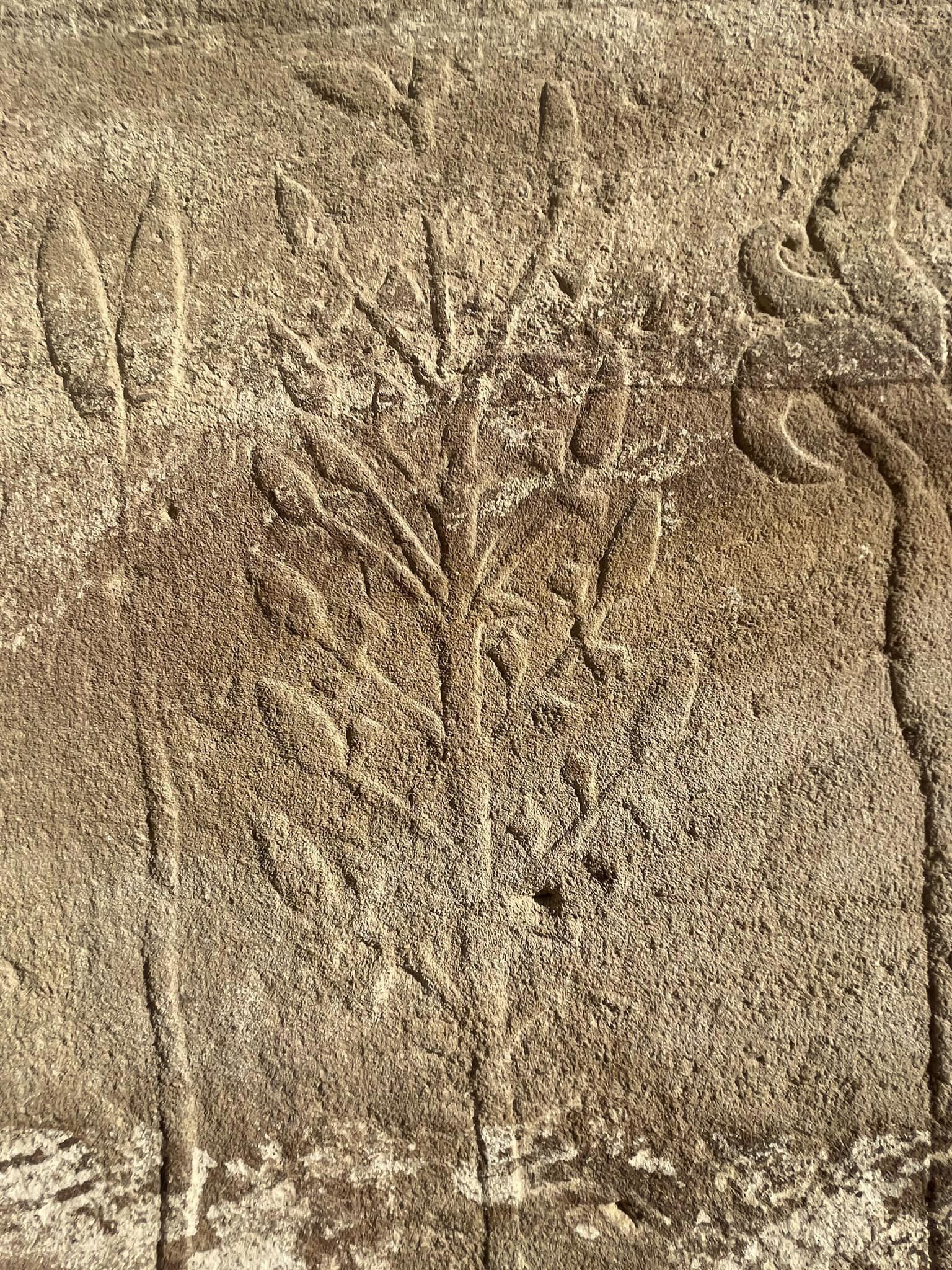 Herbier du jardin botanique de Thoutmosis III dans le temple de Karnak.
