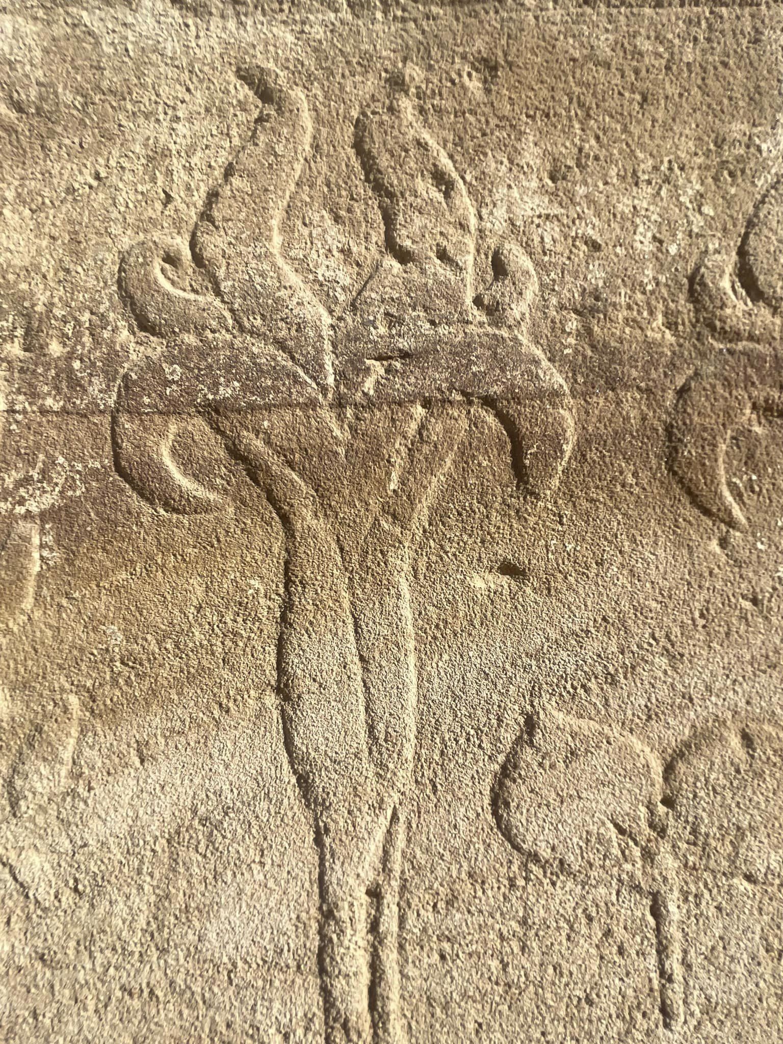 Herbier du jardin botanique de Thoutmosis III dans le temple de Karnak.