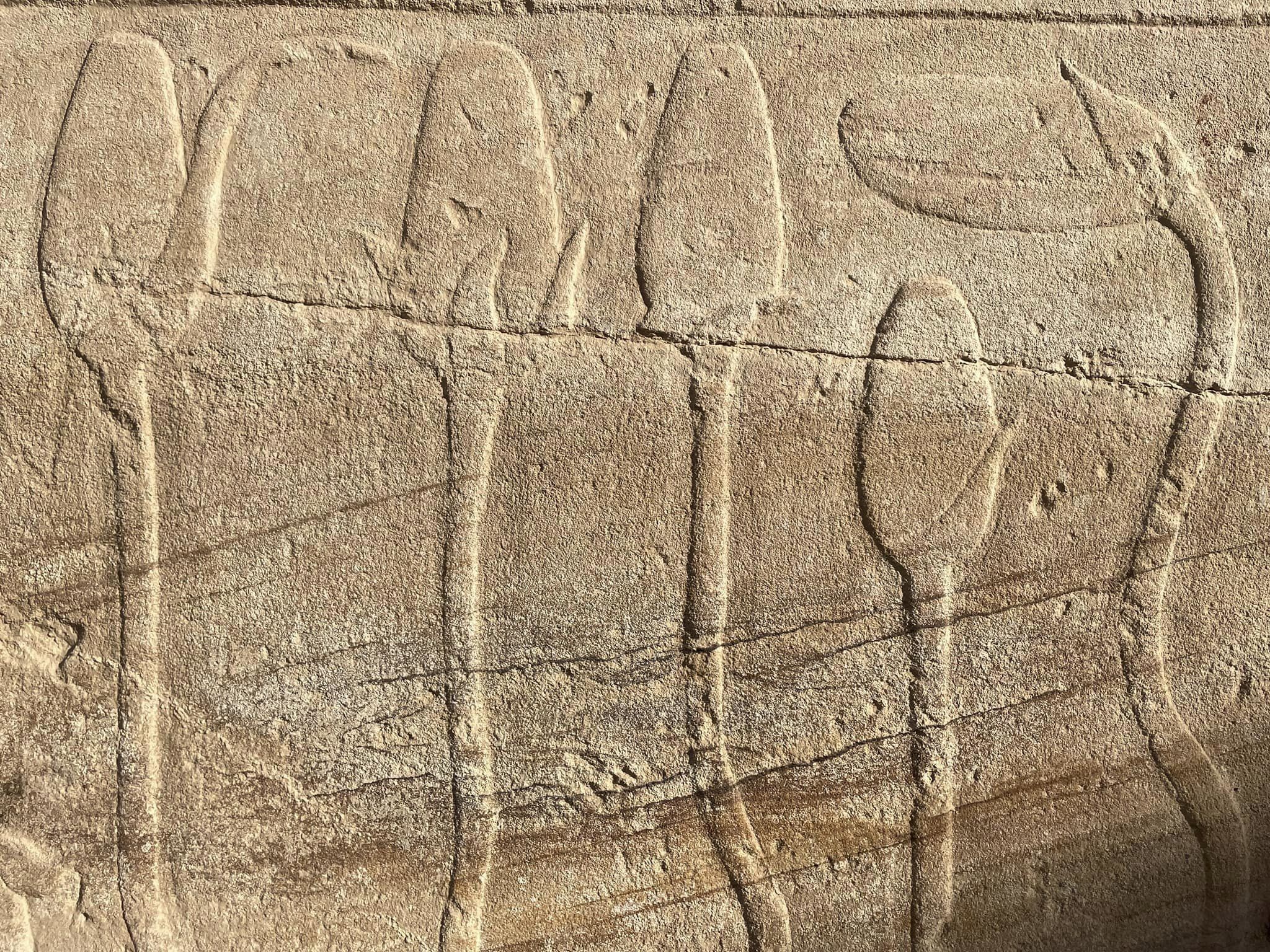 Herbier du jardin botanique de Thoutmosis III dans le temple de Karnak.