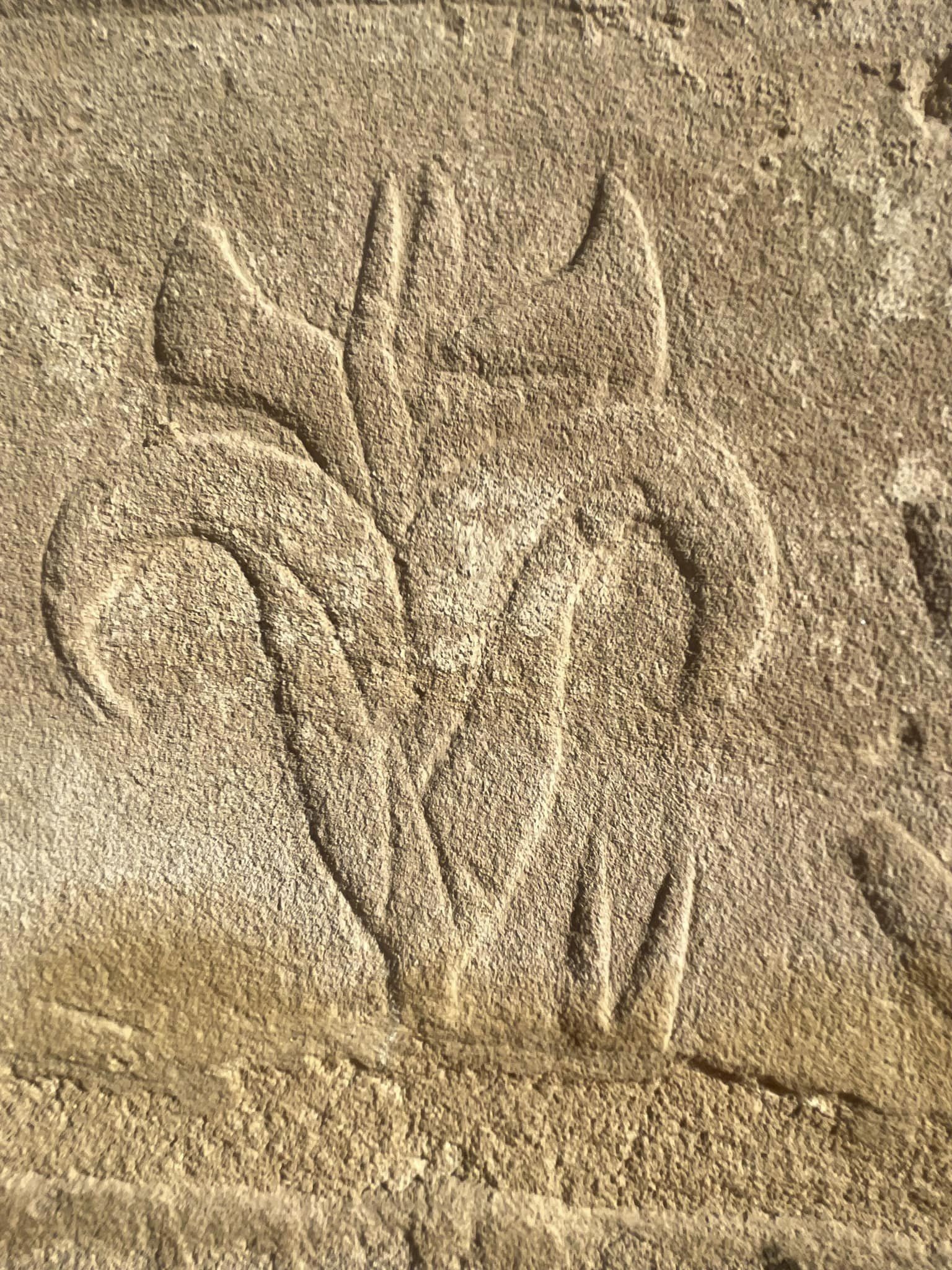 Herbier du jardin botanique de Thoutmosis III dans le temple de Karnak.