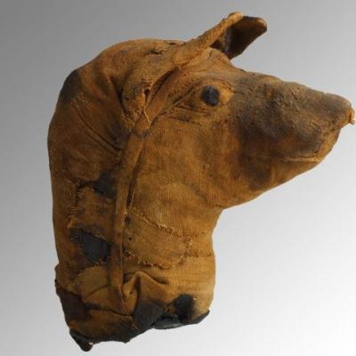 Tête de chien momie (2000 av. J.-C. - 30 av. J.-C. )