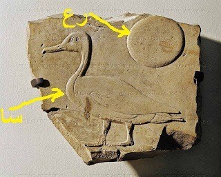 Le hiéroglyphe du canard  = 