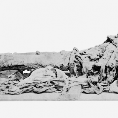 Amenhotep III mummy profile