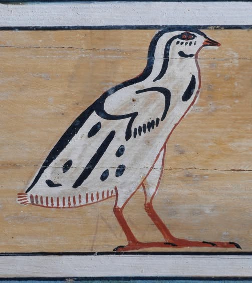 poussin de caille