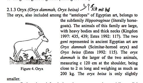 oryx.