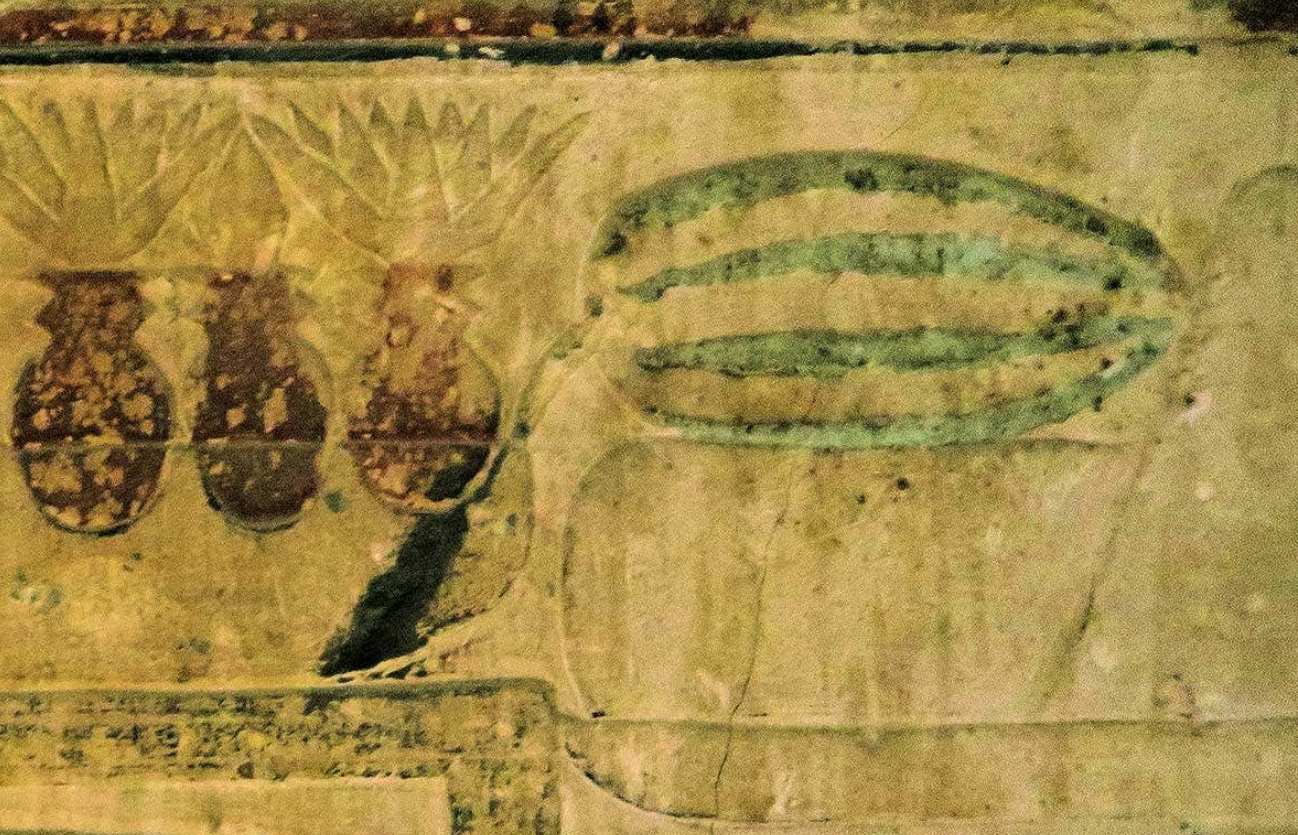 Watermelons are depicted on the walls of at least three ancient Egyptian tomb