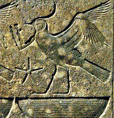 Le symbole par excellence du peuple Égyptien.  Le peuple en adoration devant pharaon... 