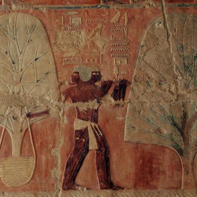 Bas-relief de Pount, Deir el-Bahari. De Agostini _ Bridgeman Images