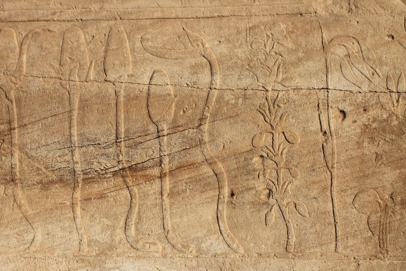 Botanical garden of thutmose III just right beside his festival temple at karnak