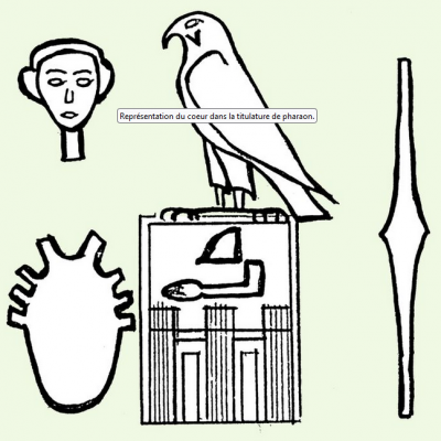 Représentation du coeur dans la titulature de pharaon.