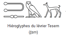 tesem représenté par les hiéroglyphes ...