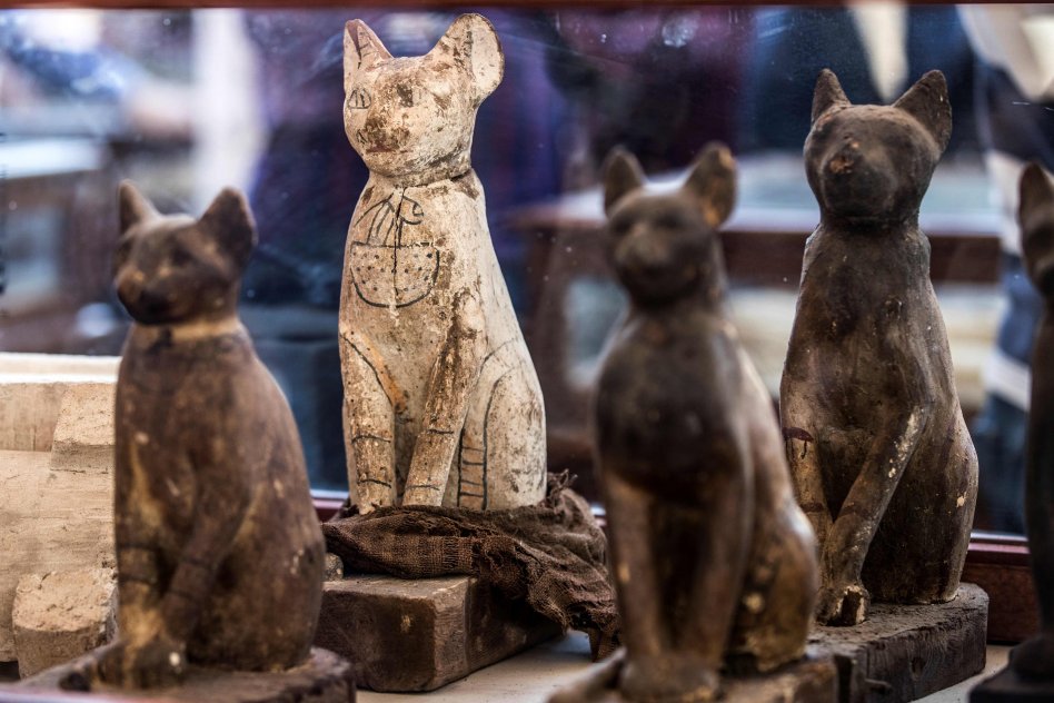 Certaines des 75 figurines de chats trouvées dans l'entrepôt