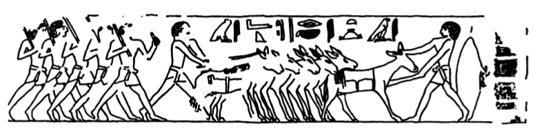 Chargement des ânes, mastaba de Leyde.