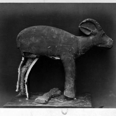 Coffin of a mummified gazelle