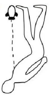 Dessin d une representation d un ennemi dans le cenotaphe de sethi i et abydos 