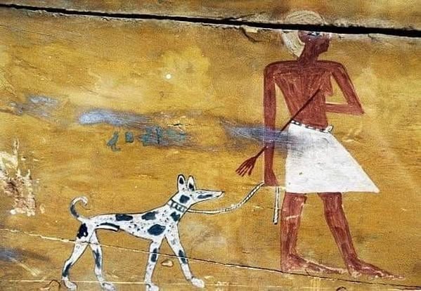 Detail du cercueil de khui qui est represente avec son chien iupu 2