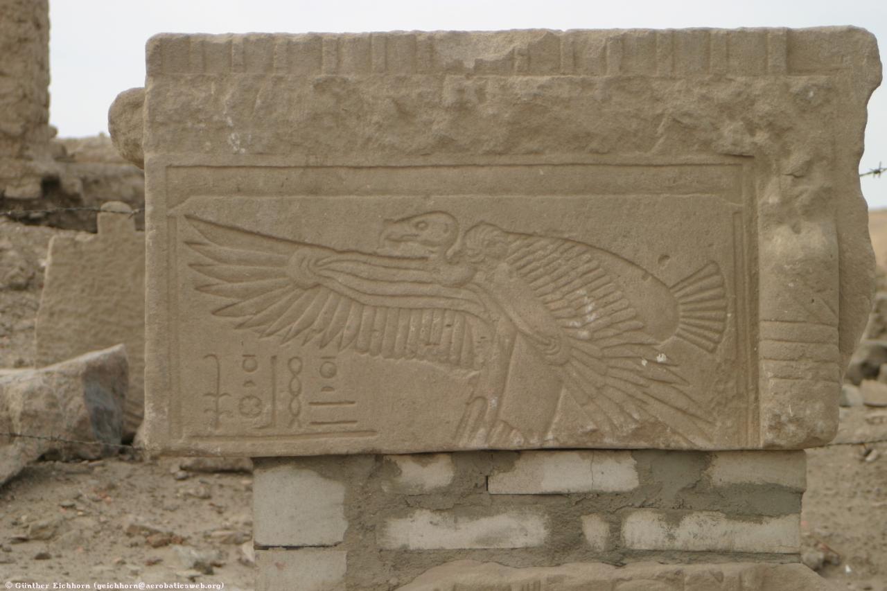 Nekhbet in vulture form in the Satet _ Khnoum Temple on Elephantine.