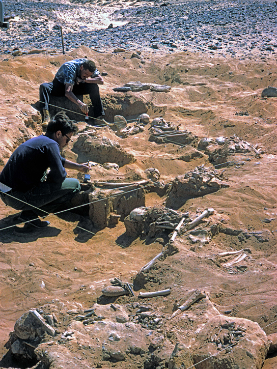 Egypt-conflict-cemetery