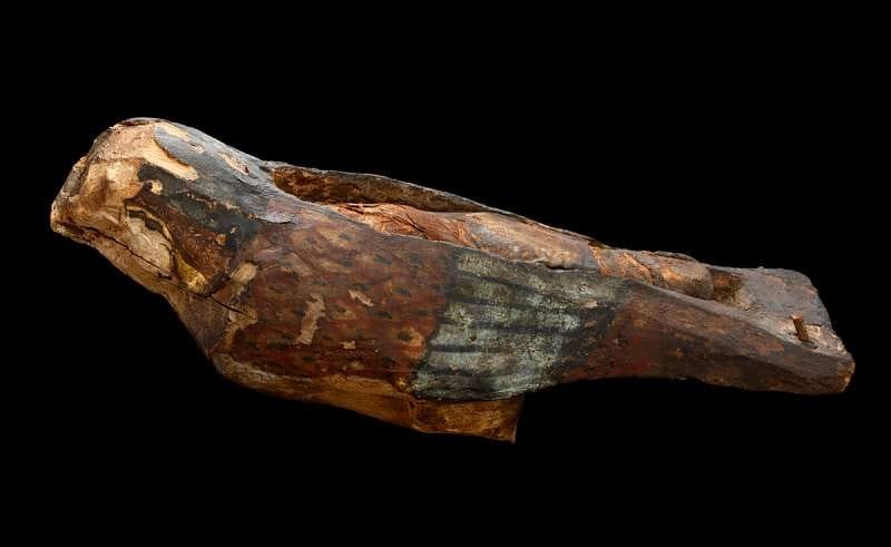 Faucon momifie dans un cercueil 332 30 B.C.E.