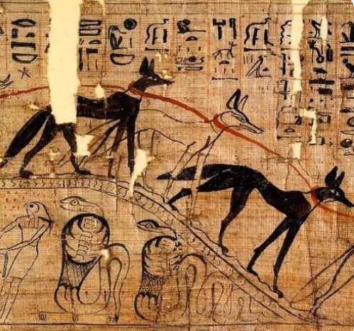 Funerary papyrus of djehutymes in ancient egypt jackals and dogs were very common in the land between desert and urban areas so they were associated with the world of necropolis and the dead copie copie