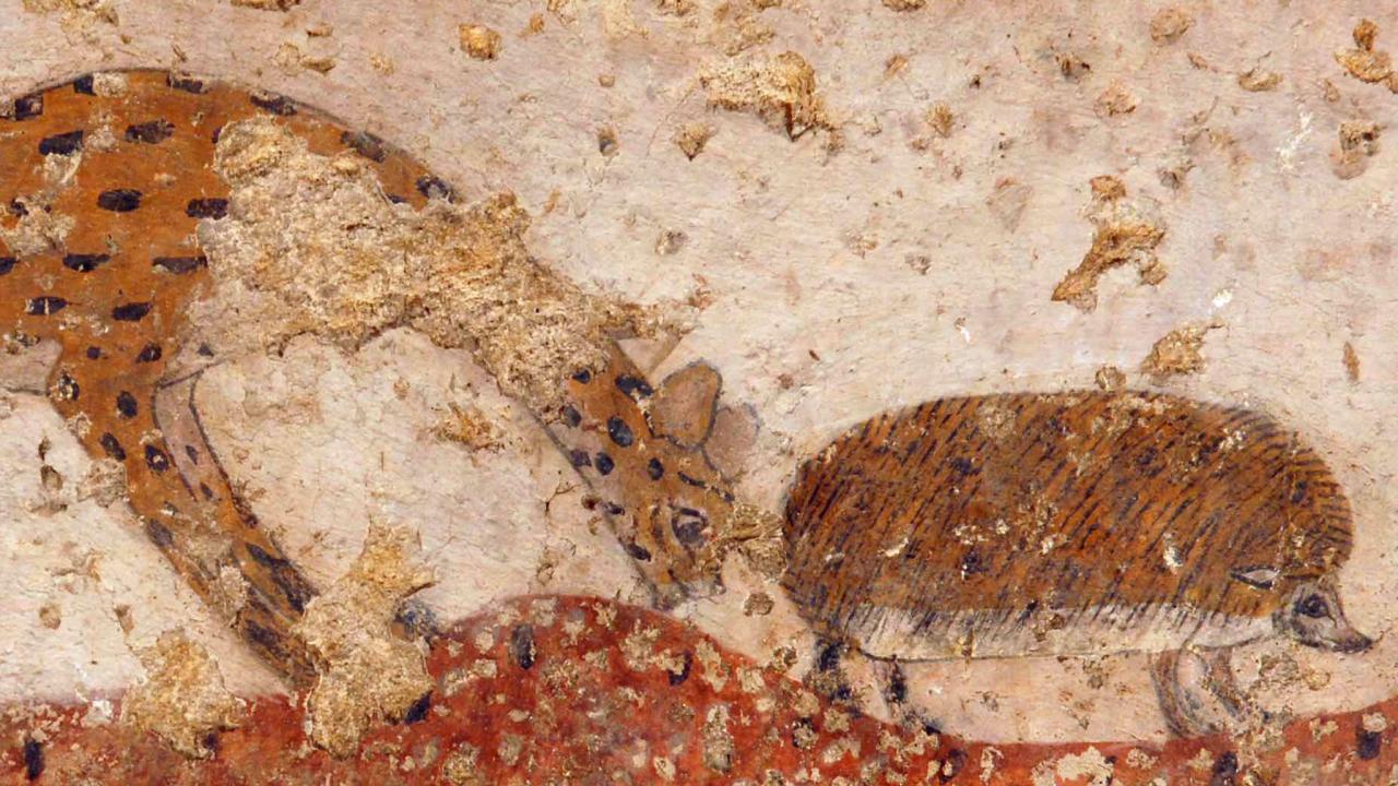 hedgehog from the Tomb of Knumhotep II_Gwyn Ashworth-Pratt‎