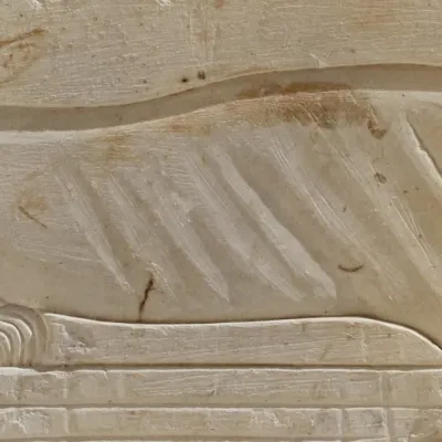 Karakhamun dog