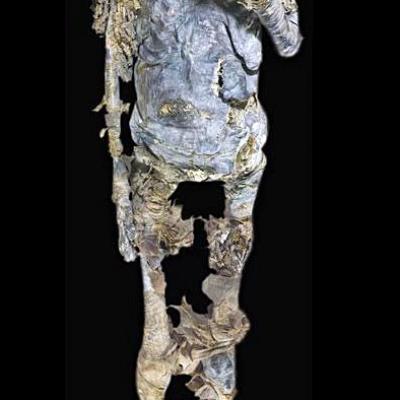 La momie de Hatshepsut a été trouvée par Howard Carter dans KV60.