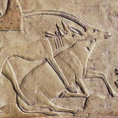  Hunting scene from the tomb of the vizier Ptah Hotep at Saqqara (5th Dynasty)