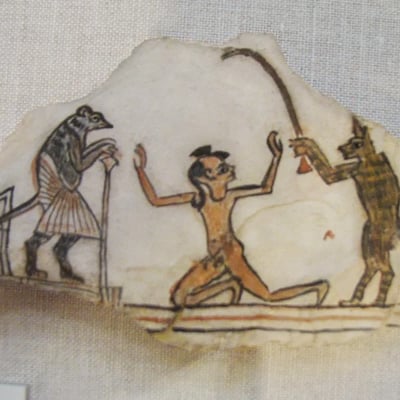 Mice and rats in ancient egypt v0 bvfpmxbbbida1