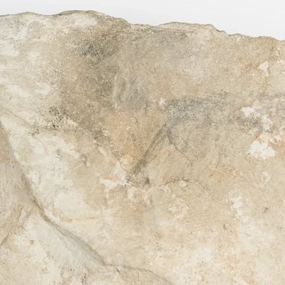 Mice and rats in ancient egypt v0 wxm7n08uj4g81