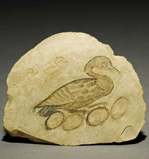 Ostracon calcaire avec un dessin à l'encre ...