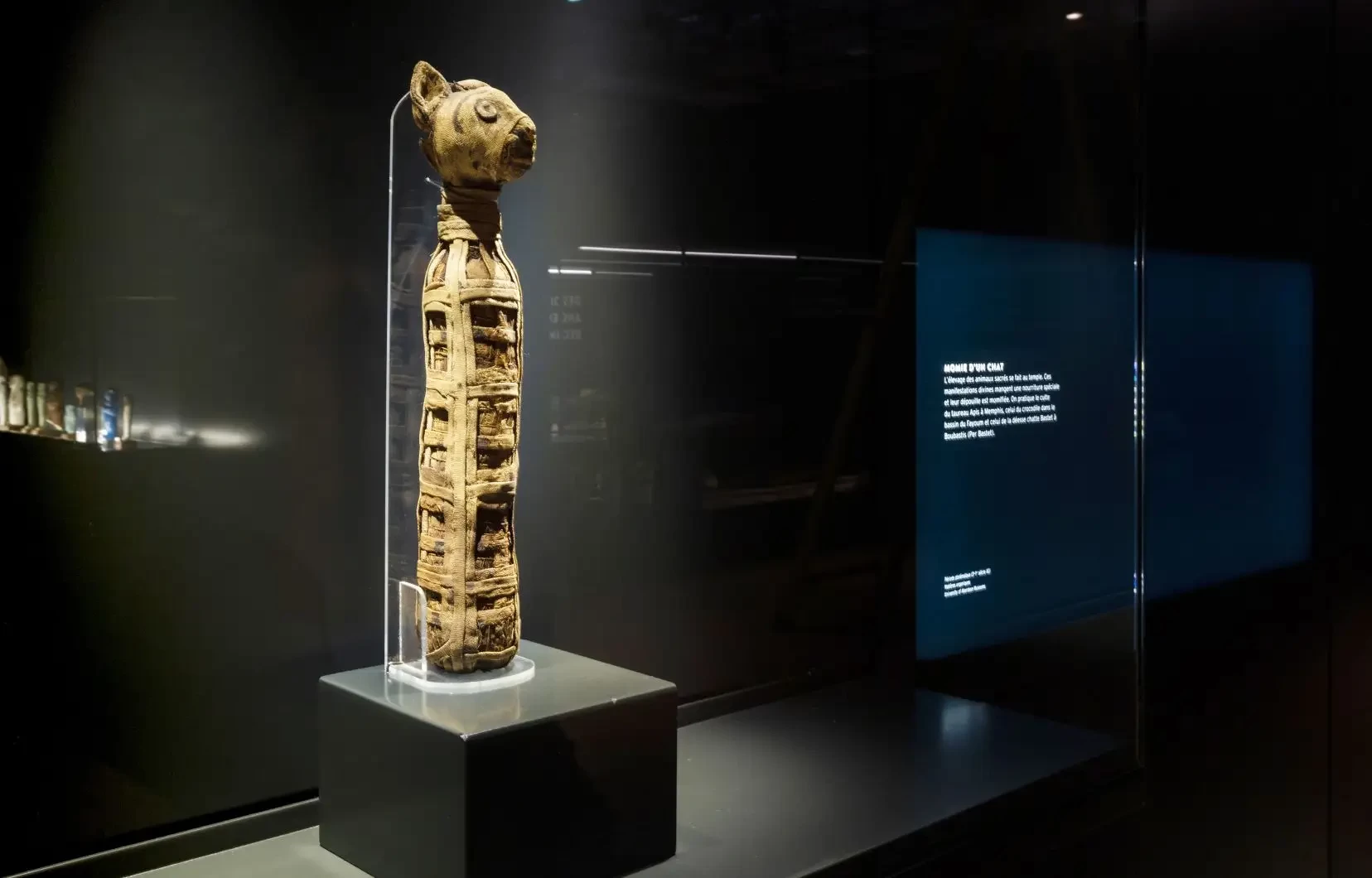  icone une momie de chat presentee a l exposition le temps des pharaons