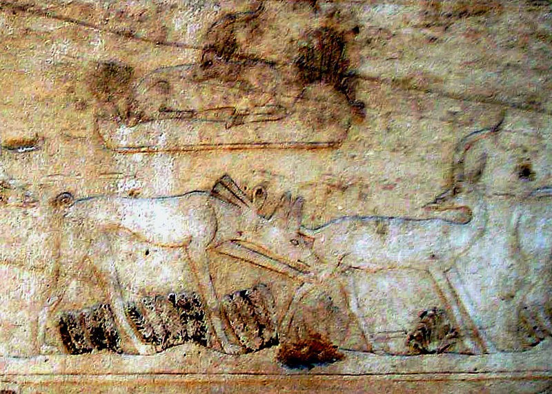 Reliefs in saqqara unas pyramid complex_ photo de Neithsabes 	