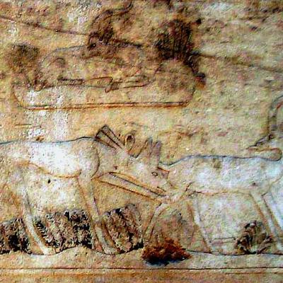 Reliefs in saqqara unas pyramid complex_ photo de Neithsabes 	