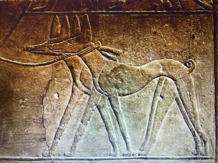 Saqqara 1