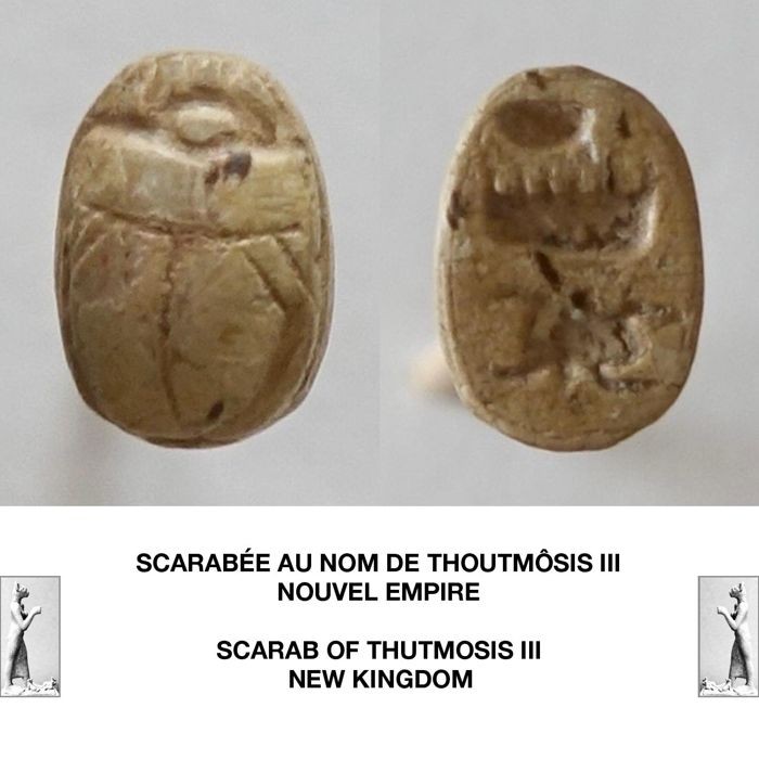 Scarabee au nom de Thoutmosis III