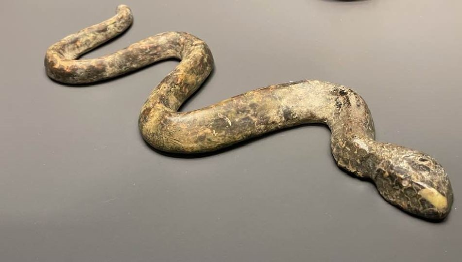 Serpent en verre epoque romaine 1 er siecle villa getty de veronique sedro 