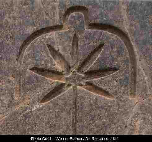 Sheshat crown detail