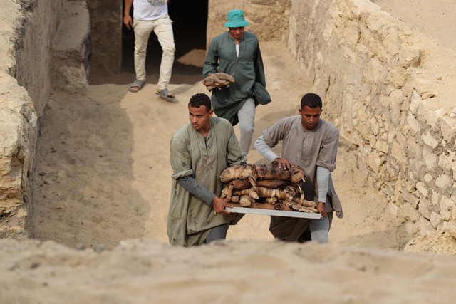 Site de Saqqara. Objets sortis de leurs hypogées.