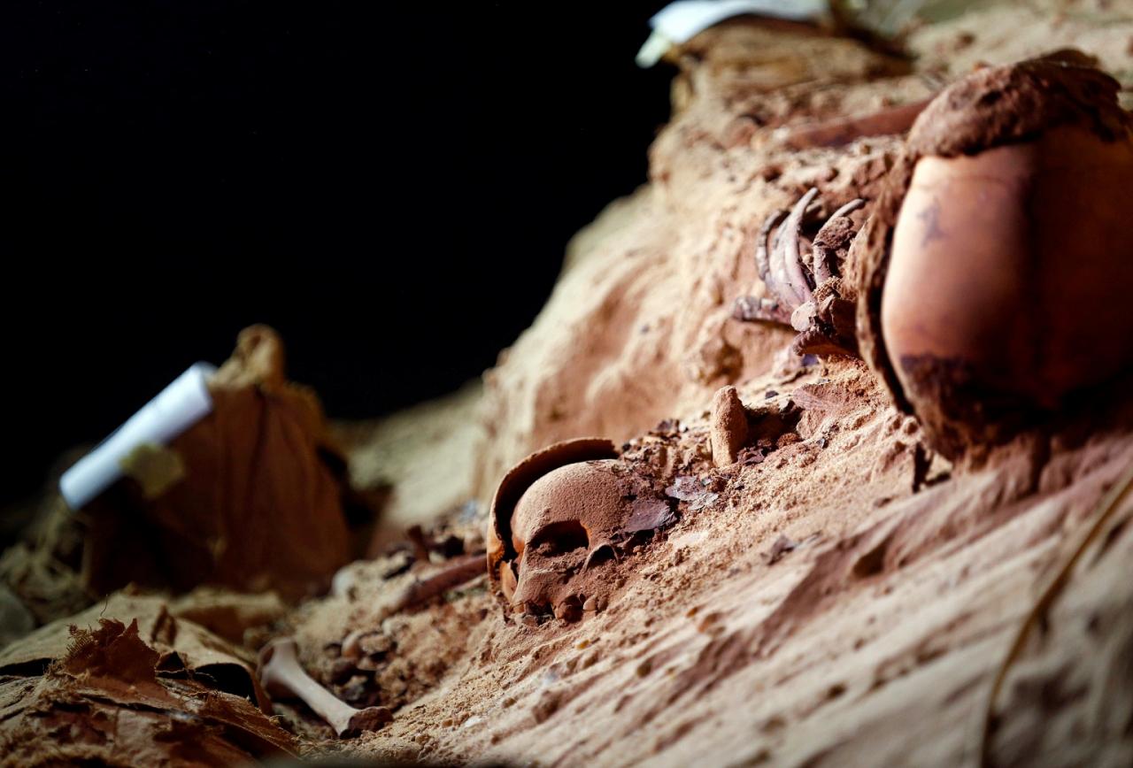 Skulls buried in the sand inside a newly discovered burial site in Minya 