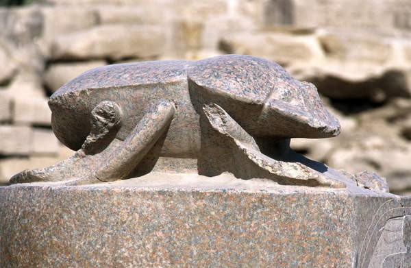 Statue d un scarabee complexe temple de karnak.