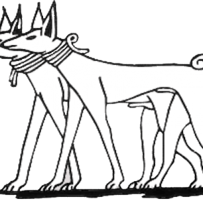 Tesem un vieux chien de type levrier egyptien